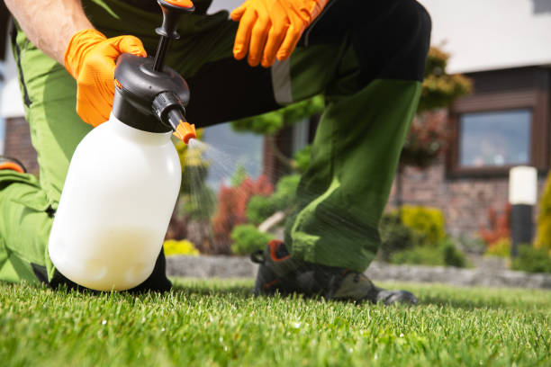 Best Exterminator Services  in Poncha Springs, CO