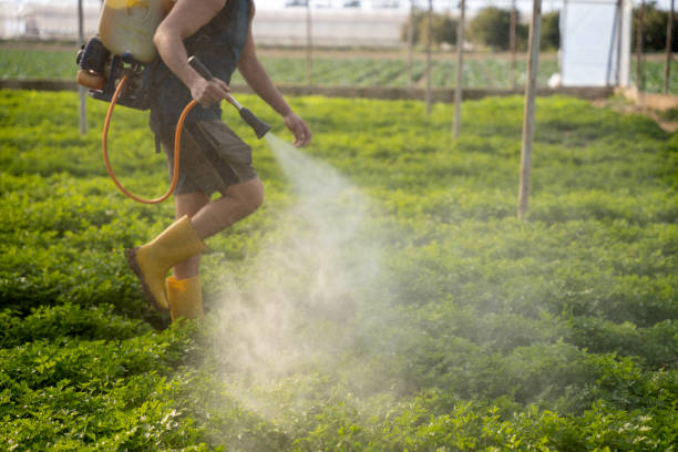 Best Pest Inspection Near Me  in Poncha Springs, CO