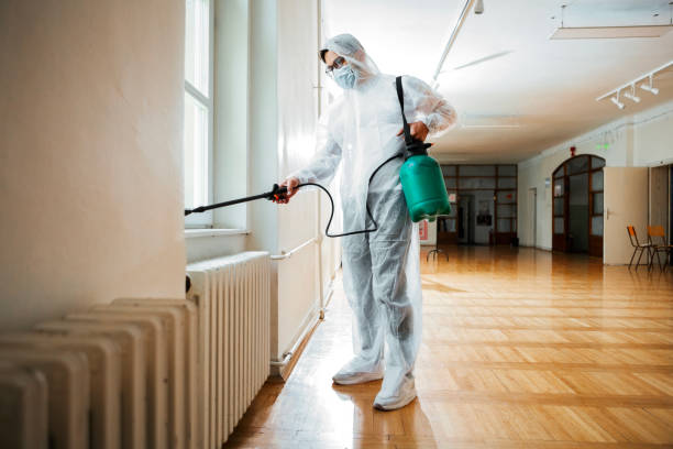 Best Flea Control Services  in Poncha Springs, CO